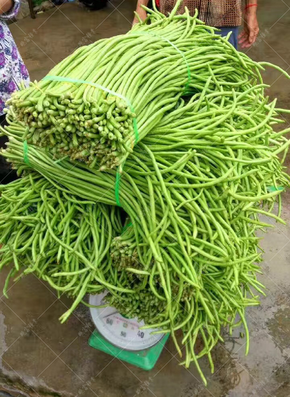 1557901314783480.jpg 521139437219893279.jpg